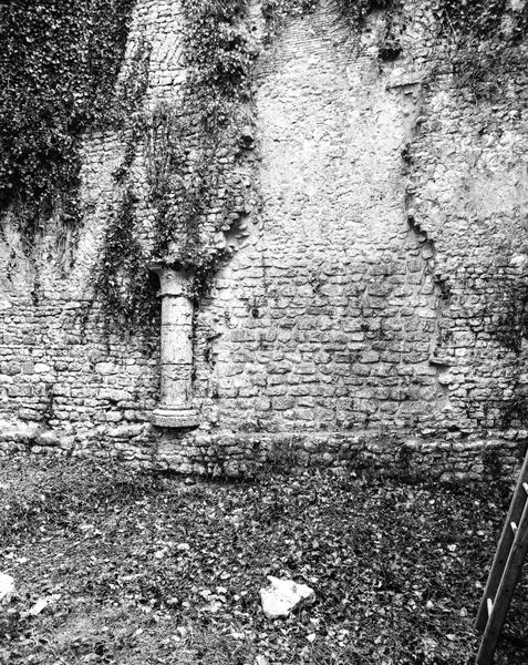 Pièce centrale du logis, mur de refend, vue d'ensemble d'une colonne.