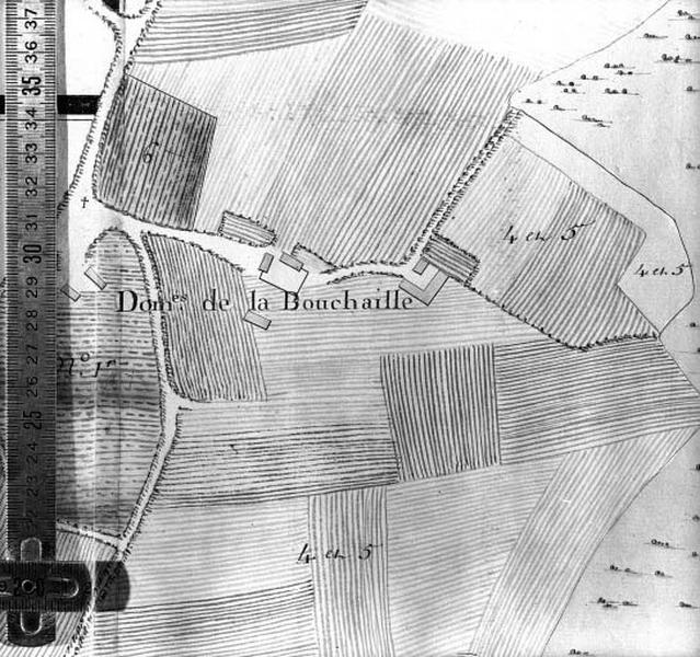 Plan terrier du 18ème siècle. Carte d'Arphevilles. Domaines de la Bouchaille. Ferme.