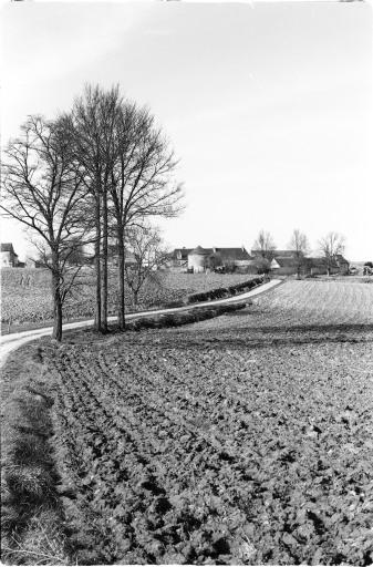 Abords du Bois Légat depuis la voie communale n° 113.