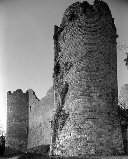 Façade sud, vue d'ensemble de la tour sud-est.