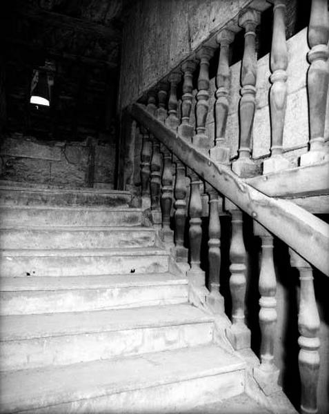 Corps de logis principal, escalier monumental, escalier type 2, dernière volée.