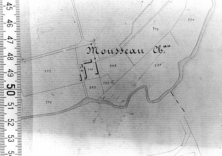 Extrait du plan cadastral ancien, section D, 1831, éch. 1/2500e.