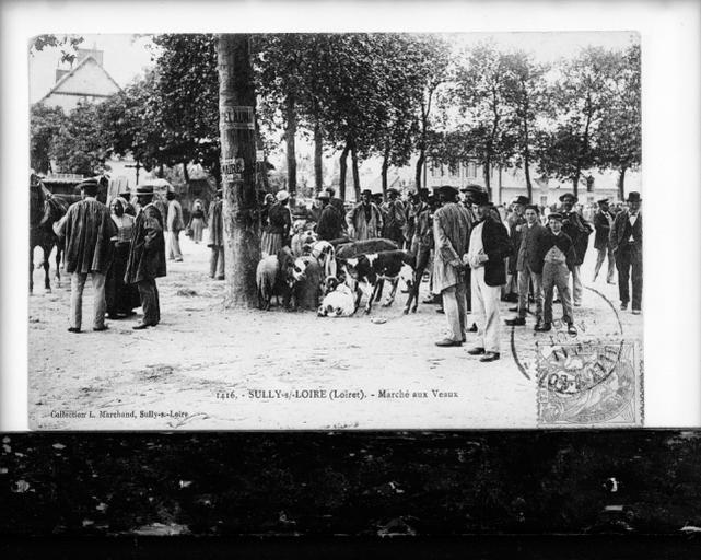 Marché aux veaux, 1er quart du 20e siècle.