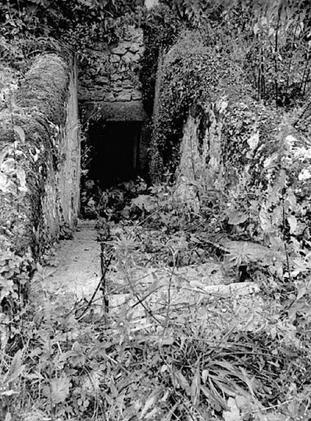 Vue de détail de l'escalier extérieur d'accès à la cave et porte chanfreinée du logis, du sud.