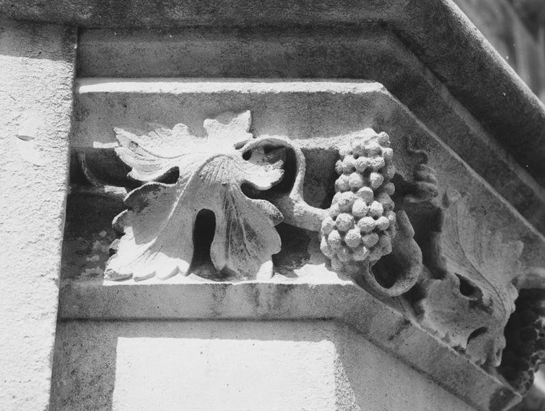 Fontaine de l'Arsis des Comtes de Blois, dite fontaine Louis XII. Pilier d'angle gauche, état actuel. Détail : rinceau de feuillages.