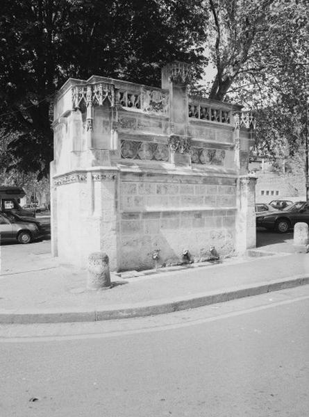 Fontaine de l'Arsis des Comtes de Blois, dite fontaine Louis XII. Vue d'ensemble, état actuel.