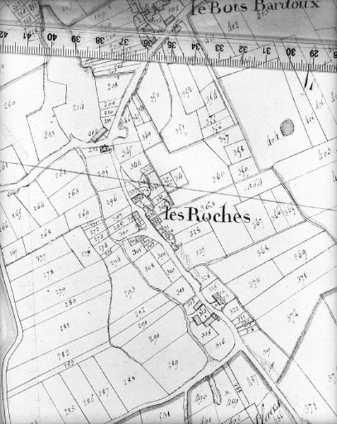 Cadastre napoléonien, détail : Les Roches.