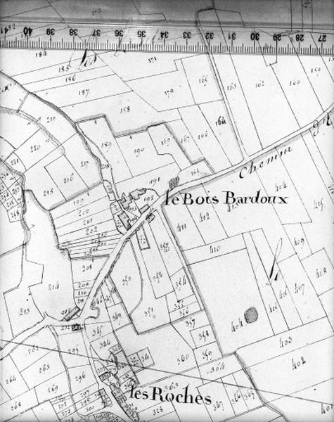 Cadastre napoléonien, détail : Les Roches, le Bois Bardoux.