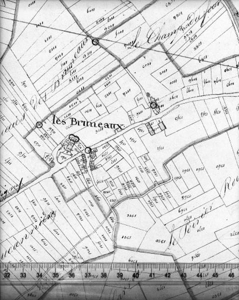 Cadastre napoléonien, détail : Les Braneaux.