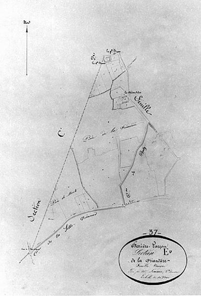 Feuille de section du plan cadastral ancien de Ferrière-Larçon, section E, échelle 1/2500e, 1813.