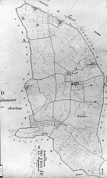 Feuille de section du plan cadastral ancien de Ferrière-Larçon, section D1, échelle 1/2500e, 1813.