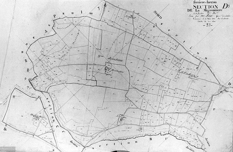Feuille de section du plan cadastral ancien de Ferrière-Larçon, section D3, échelle 1/2500e, 1813.