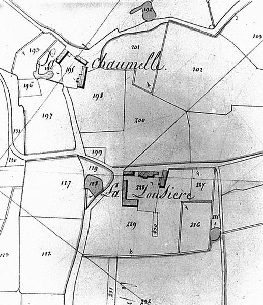 Extrait du plan cadastral napoléonien, section D, feuille 1, échelle 1/2500è, 1813.