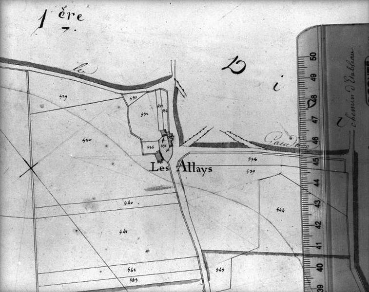 Détail : les Allays.