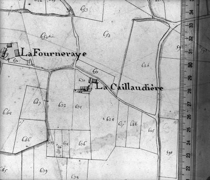 Détail : la Caillaudière.