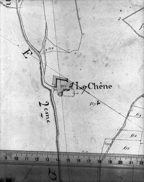 Détail : le Chêne.