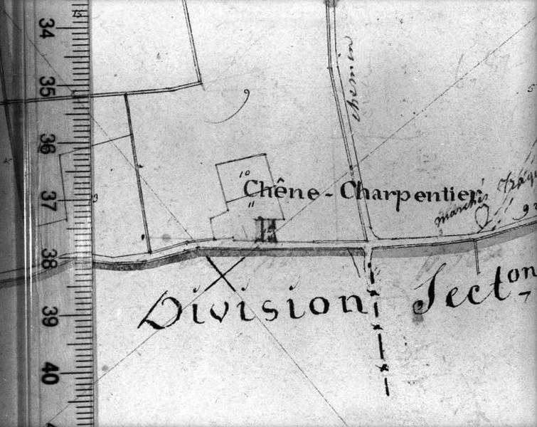 Détail : Chêne Charpentier.