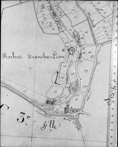 Extrait du plan cadastral ancien, section C1, 1831. Echelle : 1/2500