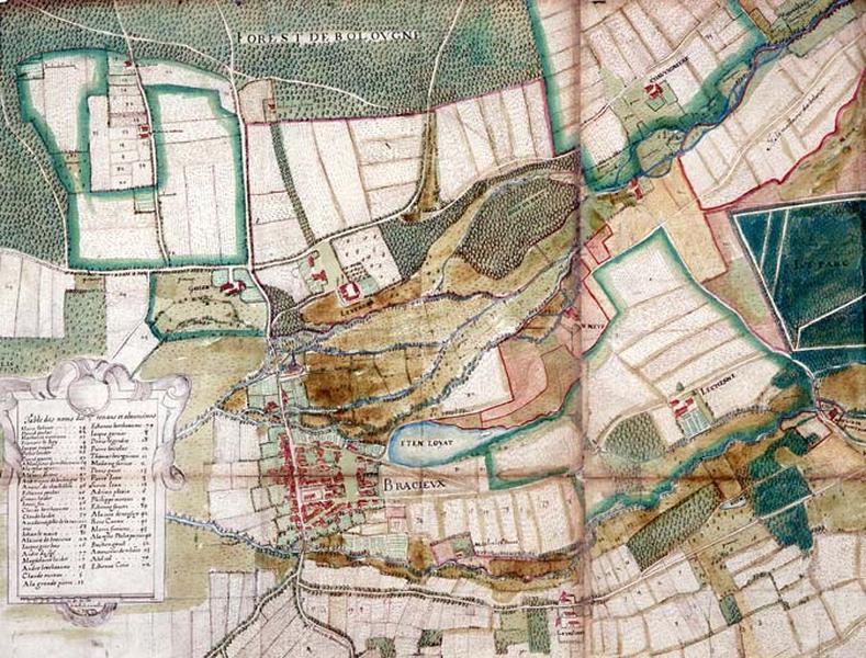 Plan terrier détaillé du bourg et écarts de Bracieux.