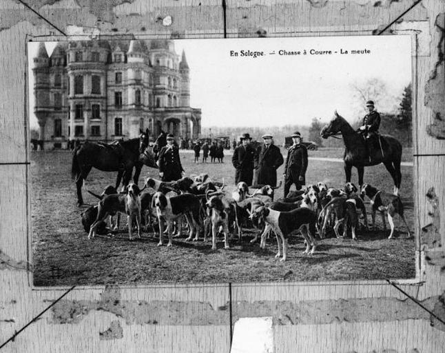 Chasse à cour à Bon Hôtel : la meute.