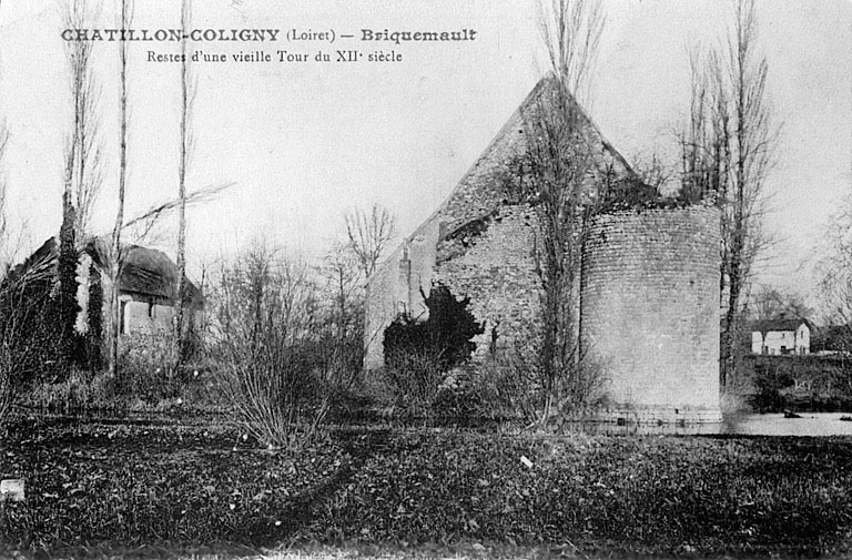 Vue générale des vestiges du château de Briquemault vers 1900 (carte postale ancienne).