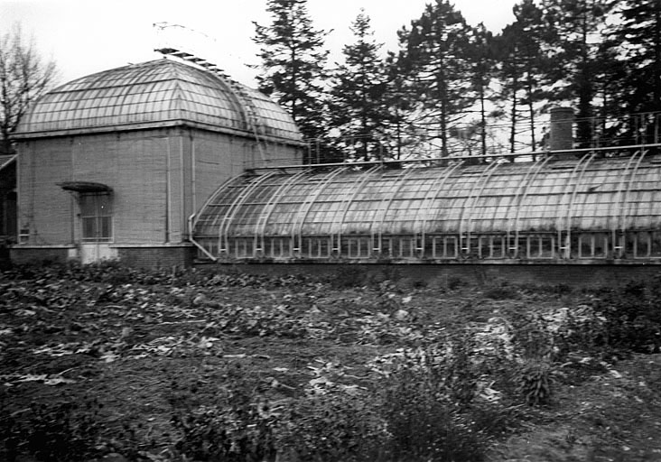 Maison de jardinier (1) : serre vue de l'est, vers 1940.