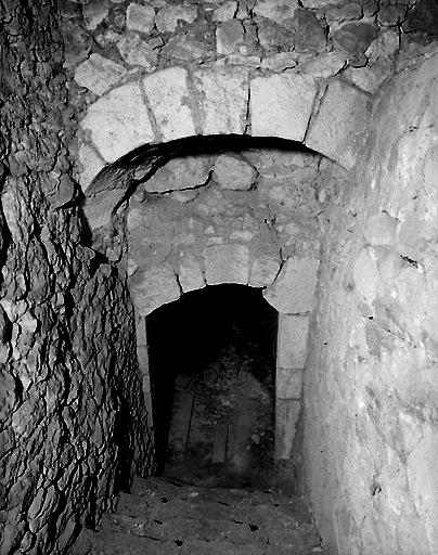 Donjon ouest, cave, vue prise du haut de l'escalier d'accès.