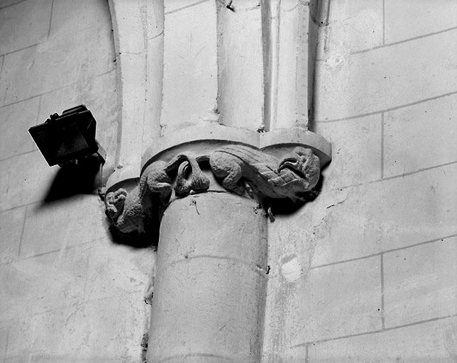 Chapiteau avec animaux.