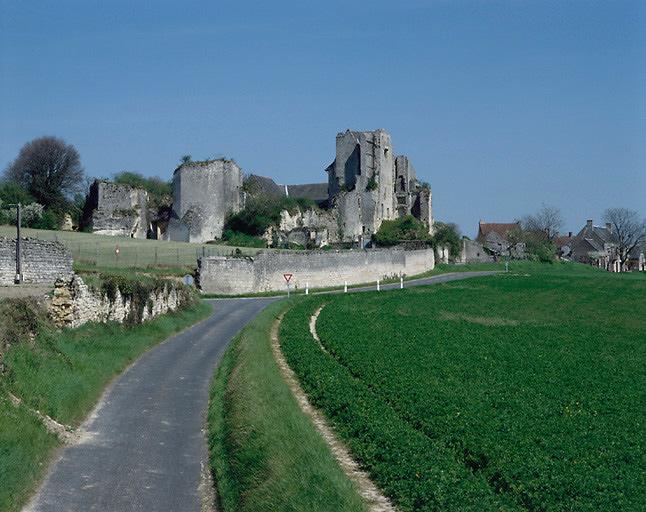 Vue d'ensemble prise du sud-ouest.