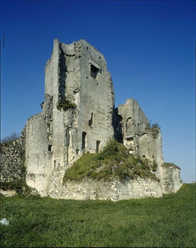 Le donjon, vue prise du sud ouest.