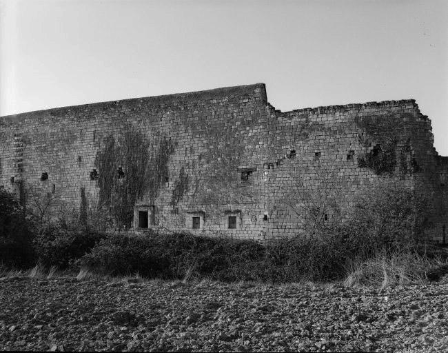 Les communs : mur nord au-dessus des fossés.