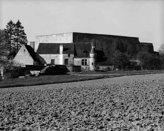 Vue d'ensemble prise du nord est. A l'arrière, le mur d'enceinte du château.