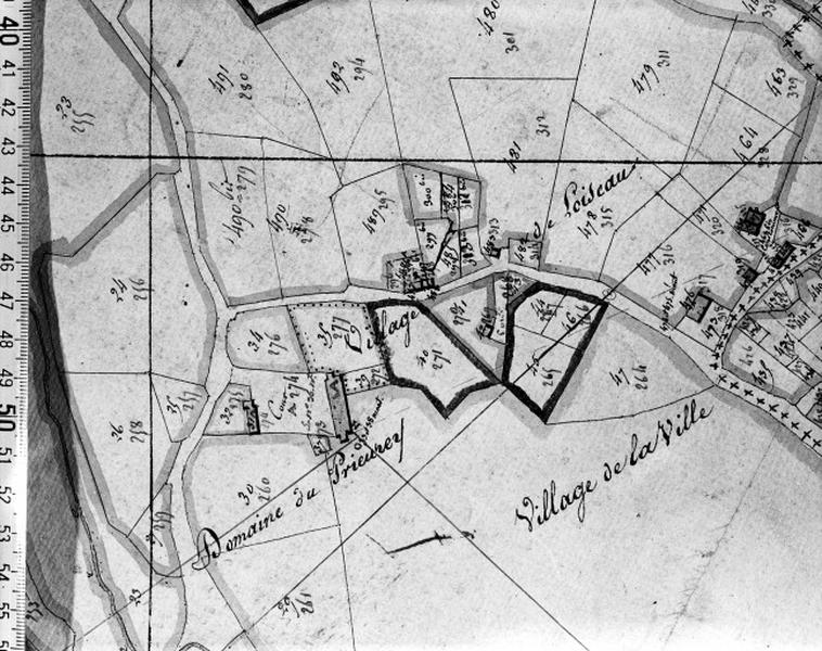 Hameau de Loiseau : plan cadastral 1810, sans échelle.