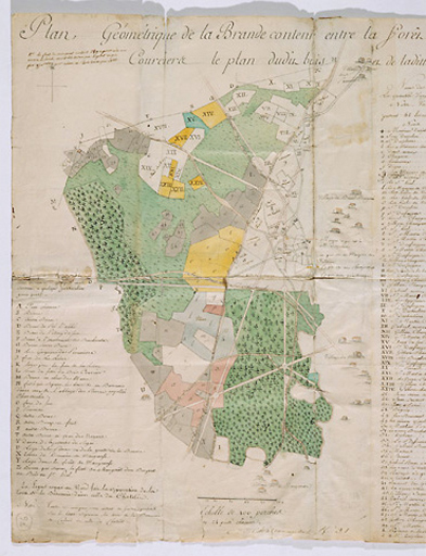 Plan géométrique, 1764, éch. : 100 perches et 24 pouces