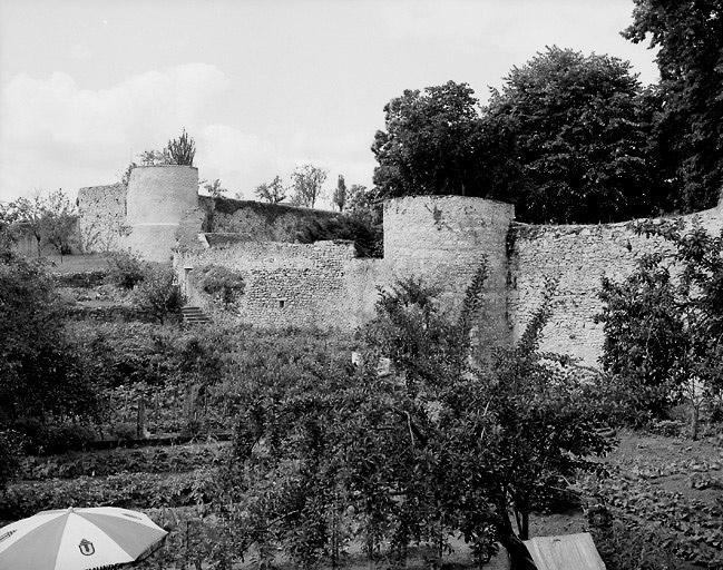 Vestiges de l'enceinte du château poitevin vue du jardin du 17 rue des Récollets.