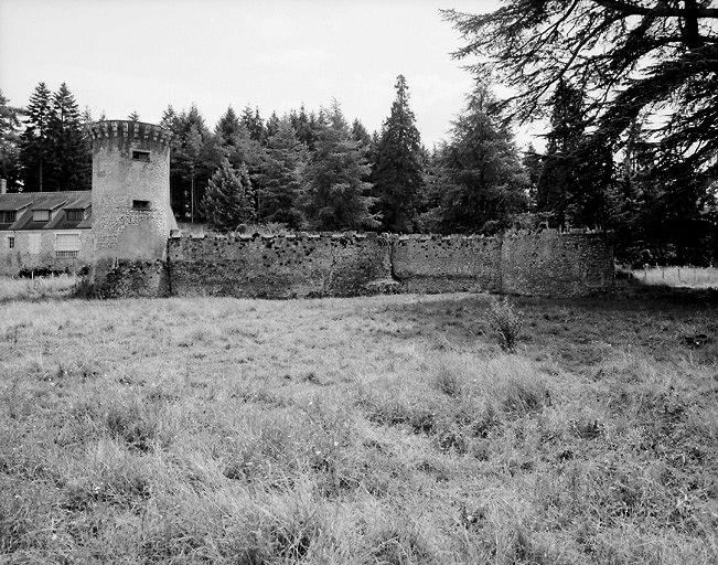 Les vestiges du château vus du nord.