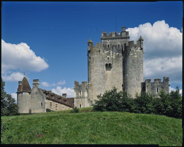 Vue d'ensemble du château.