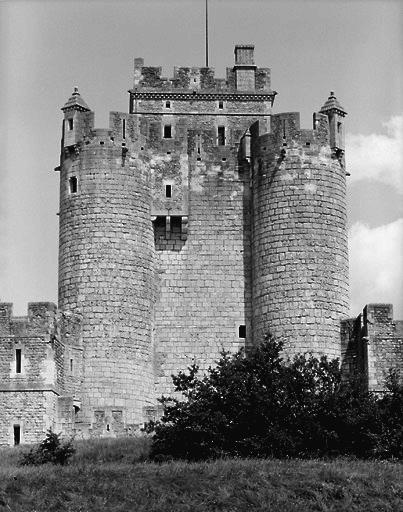 Le donjon vu de l'ouest.