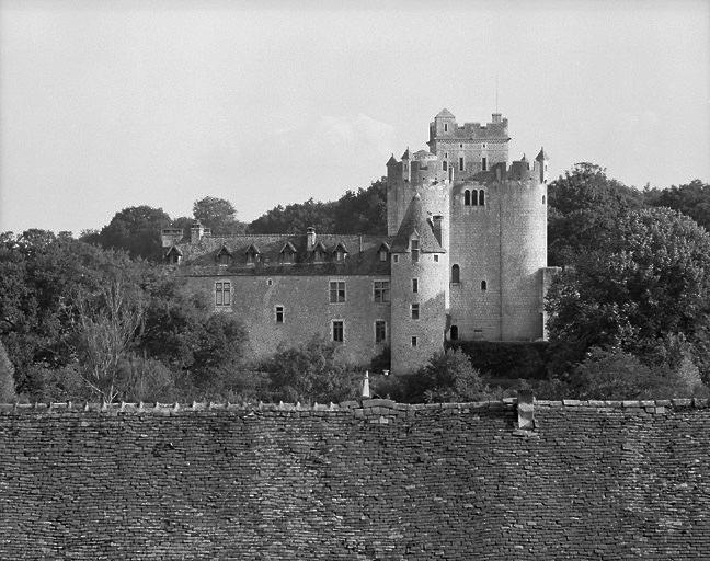 Le donjon et le logis vus de la Ménagerie (nord).