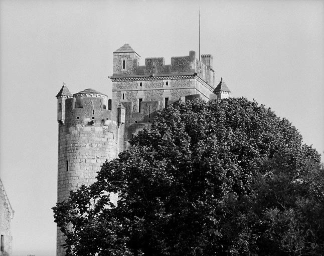 La partie supérieure du donjon vue du nord.