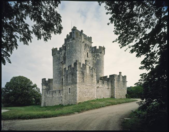 Vue d'ensemble du château.