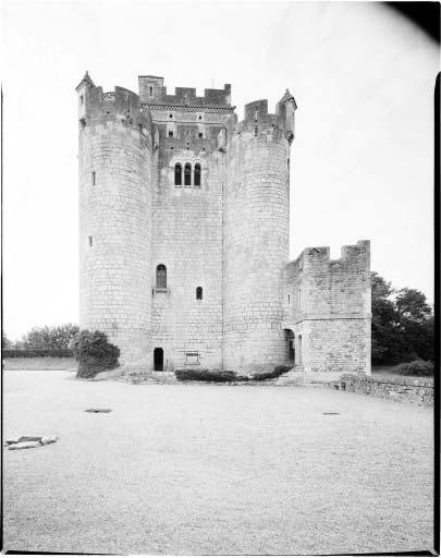 Le donjon vu du nord.