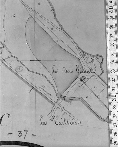 Extrait du plan cadastral napoléonien, section C1, 1831.
