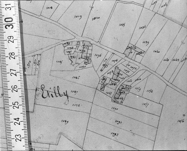 Extrait du plan cadastral napoléonien, section D1, 1831.