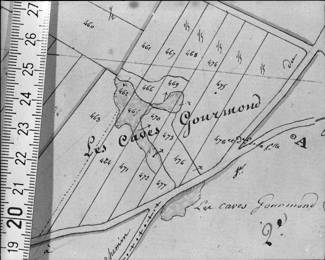 Extrait du plan cadastral napoléonien, section B1, 1832.