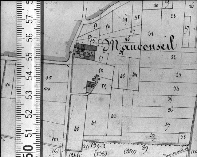 Extrait du plan cadastral napoléonien, section D1, 1832.