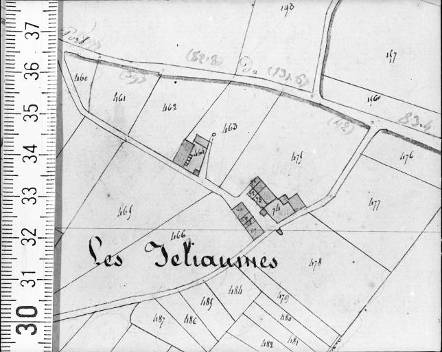 Extrait du plan cadastral ancien, section C1, 1832.
