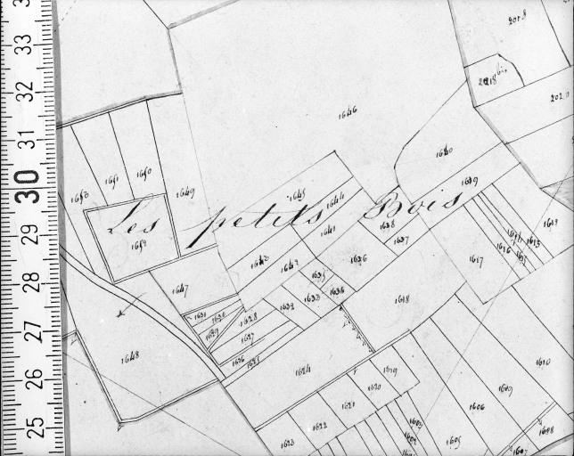 Extrait du plan cadastral ancien, section C3, 1832.