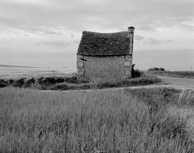 Lieu-dit 'les Terres noires' : abri.