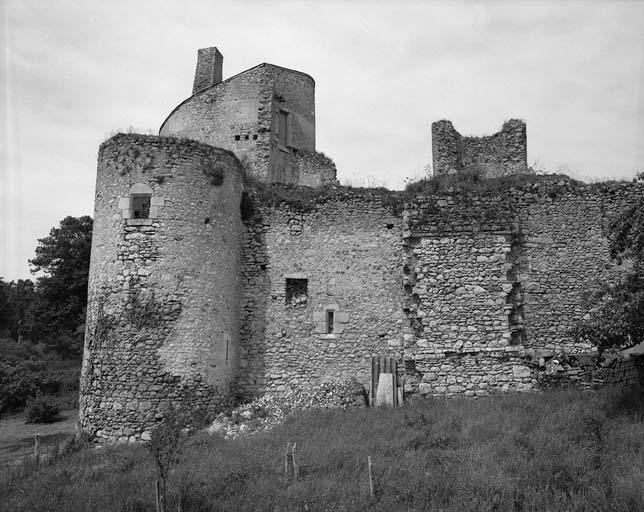 Vue prise de l'est montrant la tour sud-est et le mur est de l'enceinte, contre lequel s'appuyait le logis. Noter les conduits de latrines.